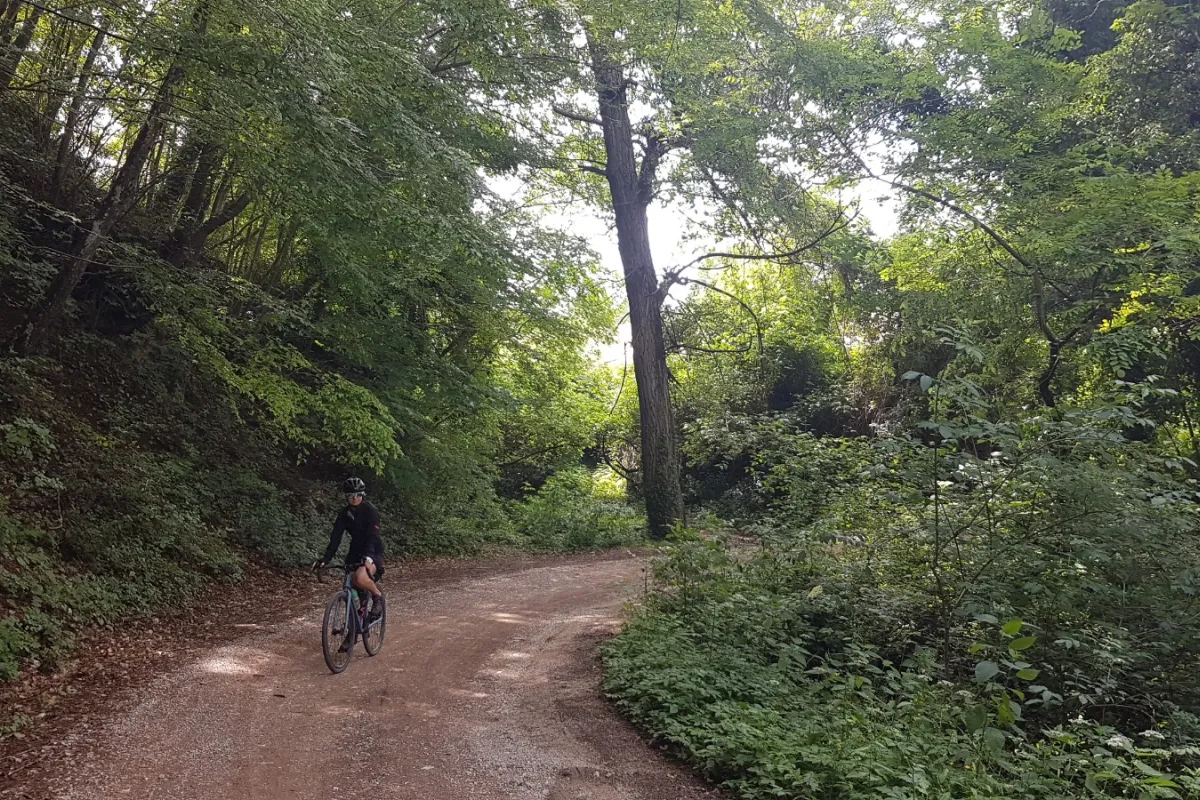 Tour delle Terre Arnolfe 