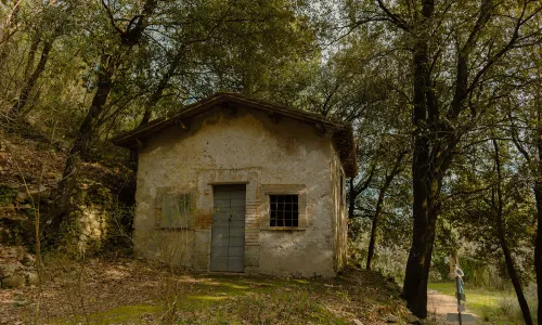 Sabato la festa di San Biagio