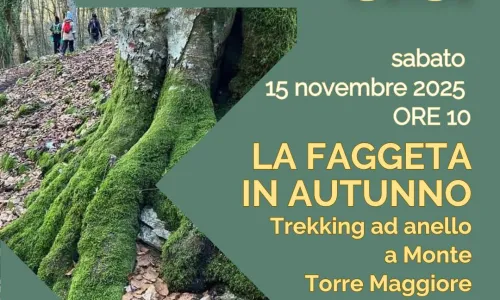 Trekking in faggeta il 15 novembre